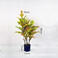 uploads/erp/collection/images/Home Garden/dgjiawang/XU0612638/img_b/XU0612638_img_b_3